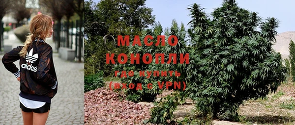 сатива Аркадак