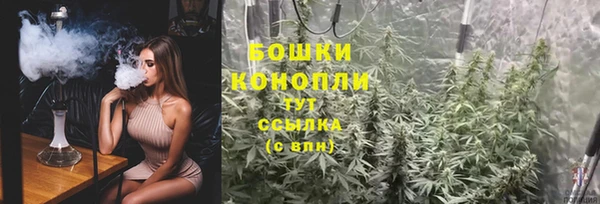 сатива Аркадак